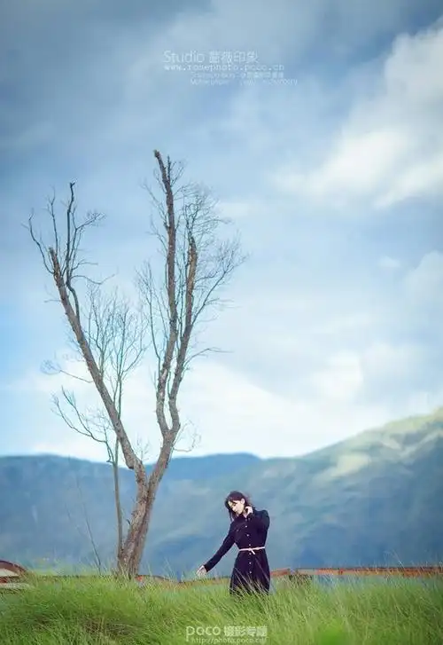 如何拍出安静淡然的小情绪-制片帮