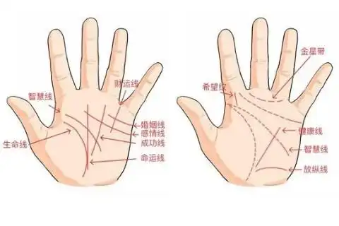 女人右手手相解析大全生命线怎么看