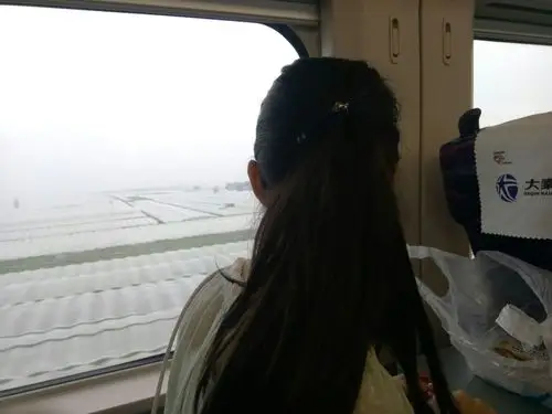 在动车上看窗外的风景