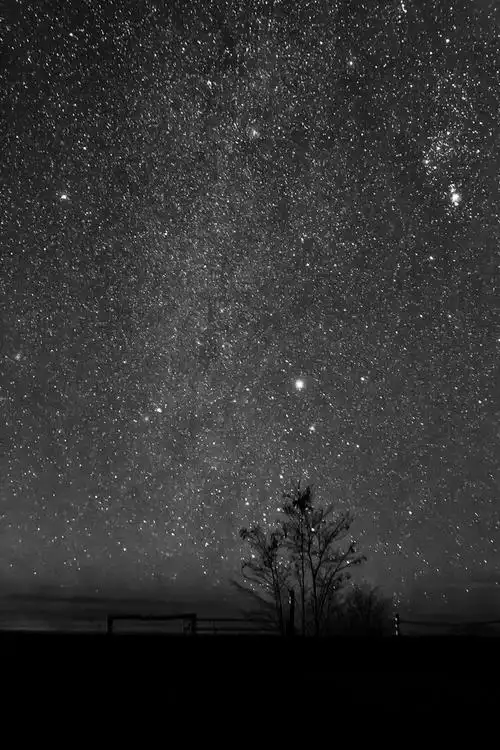 夜晚,风景,孤单,树,清晰