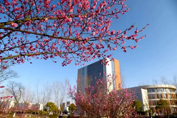 穿越四季,南泰等你_南京师范大学泰州学院_零二七艺考