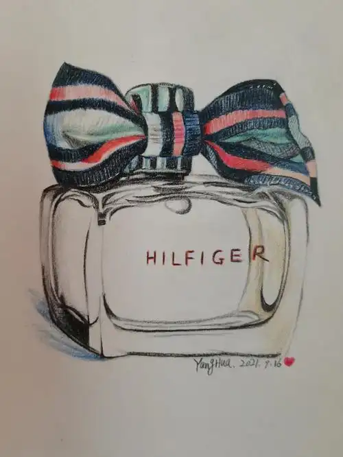 彩铅香水瓶临摹