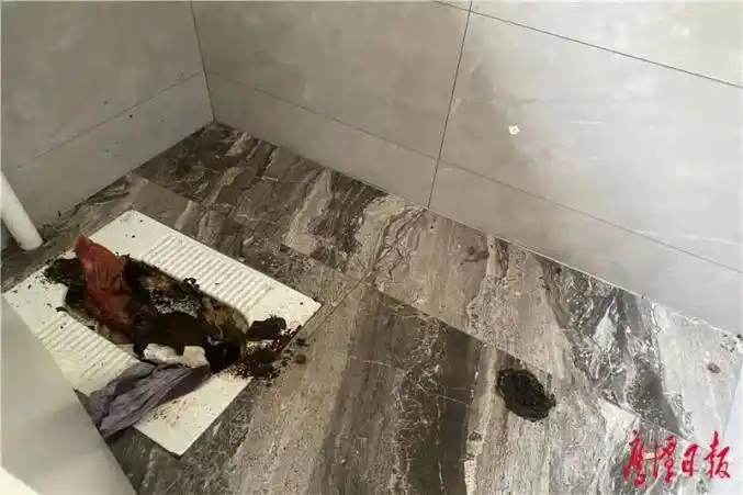 问政鹰潭满地污秽龙潭公园内的这个公共厕所为啥长期没人清理