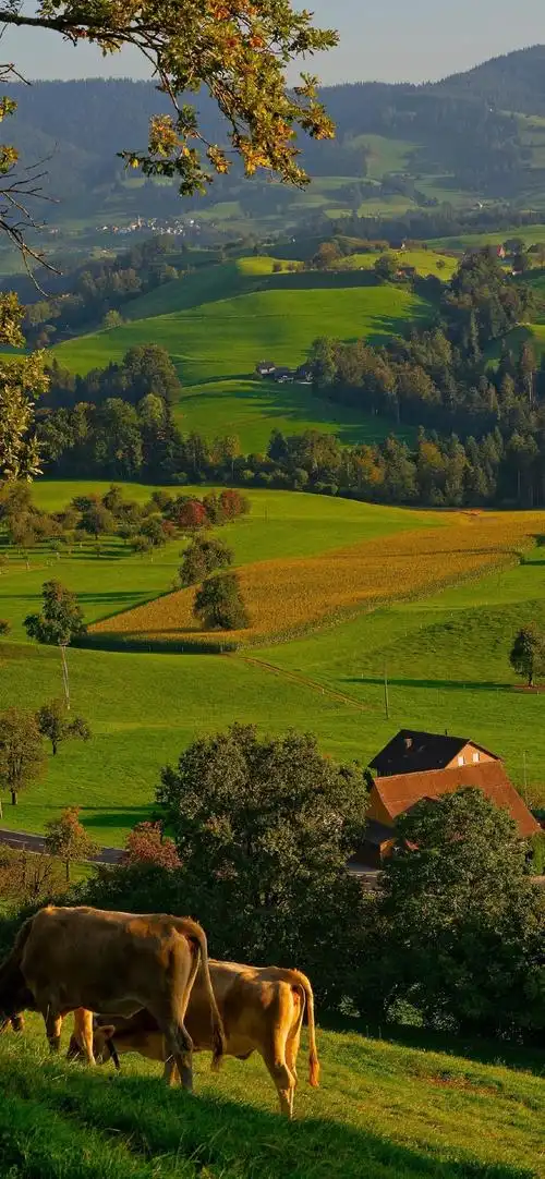 唯美摄影大自然风景高清手机壁纸