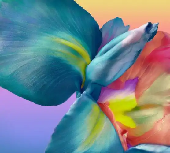 疾速共享huaweip40pro全套高清壁纸喜欢就拿走