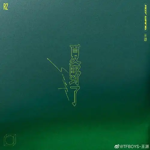 王源全新创作ep叮叮猫儿##王源看我们如何相遇vlog