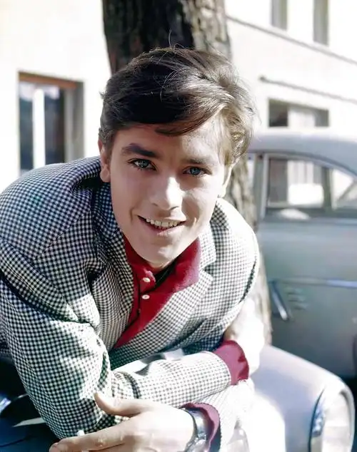 进来看阿兰德龙