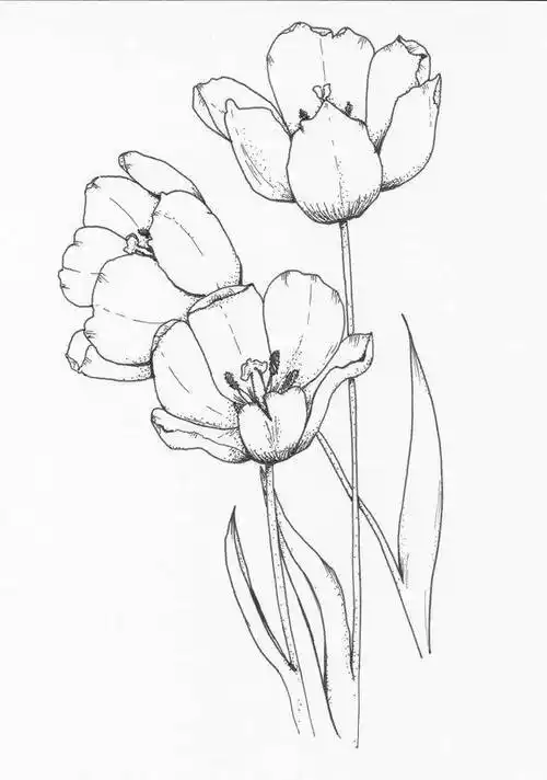 jpg100%纯手绘水彩画原作原创作品玉兰花水彩装饰画花卉彩色花简笔画