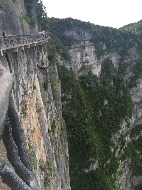 天门山的山真的好高,说实话有点虚