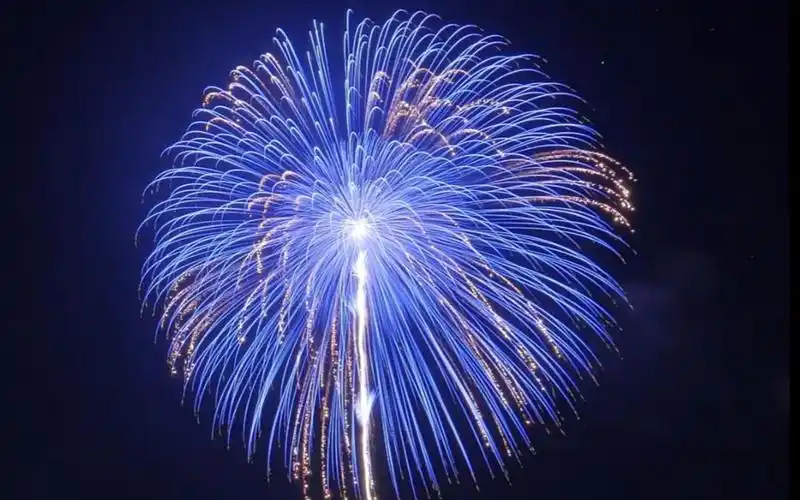 一起看烟花 #最美的烟花