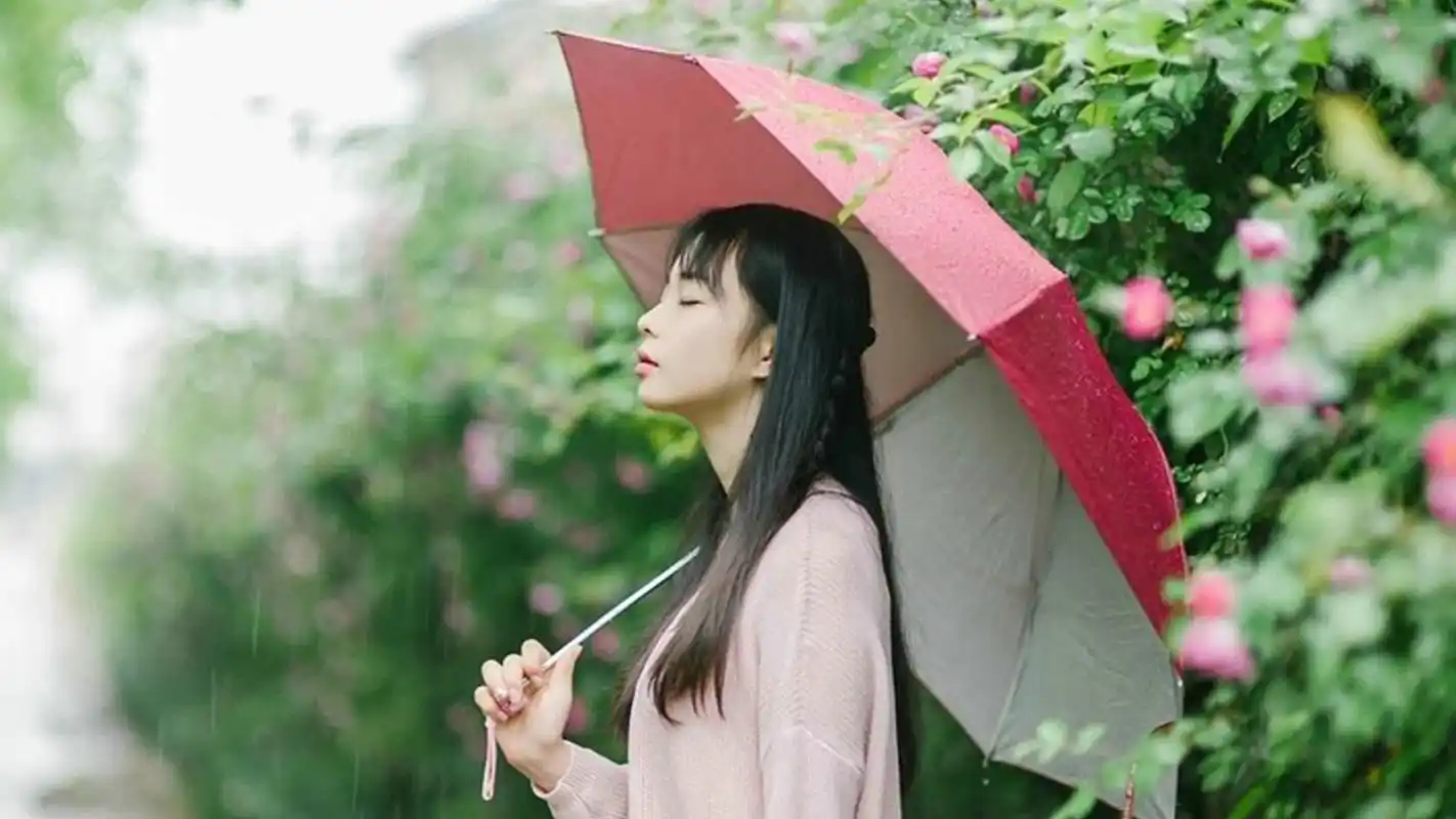 文艺范美女雨中撑伞户外写真图片桌面壁纸