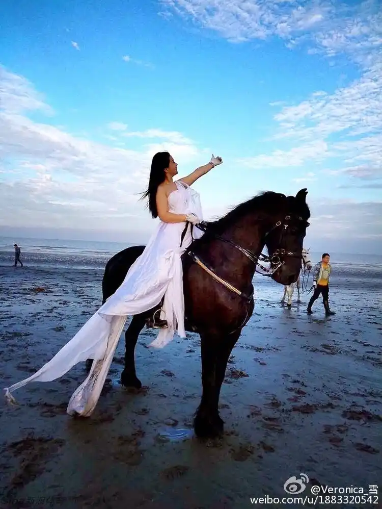 气质美少女海滩骑白马_高清图集_新浪网