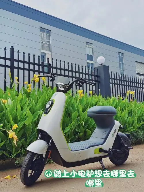 种草绿源liva6我为高性价比电动车举大旗