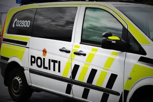 police,norway,the authority,police force,police car,car,security