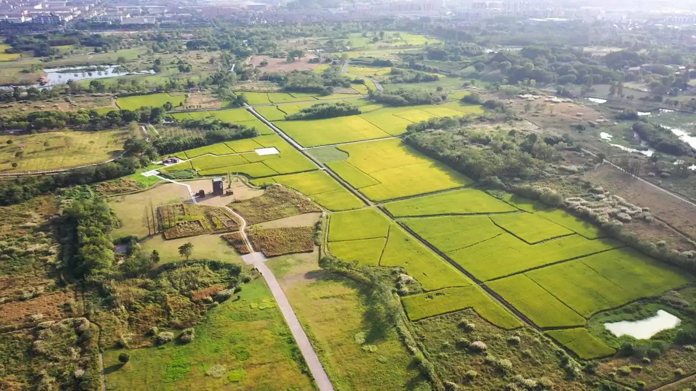 【在杭州,遇见亚运】奏响亚运交响曲,何以良渚?_央广网