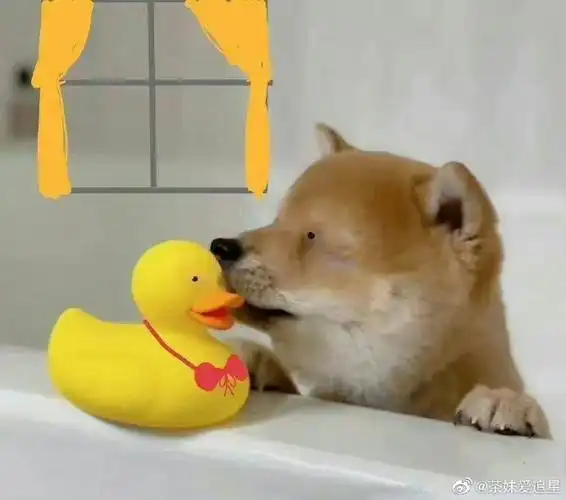 刘昊然粉丝p的周冬雨刘昊然同框图##粉丝p的周冬雨刘昊然同框图