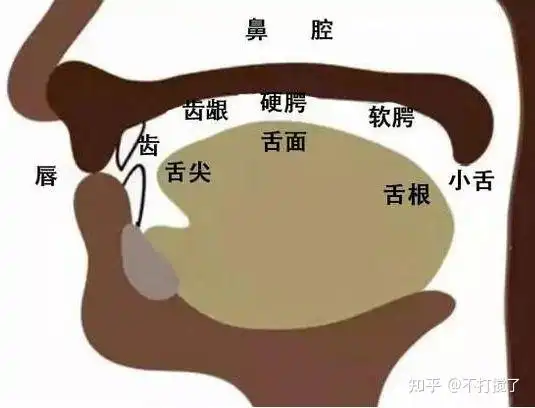 下吸,全身舒展气流畅气行于背吹瓶口,吹响头腔点明亮关闭高音气倒灌