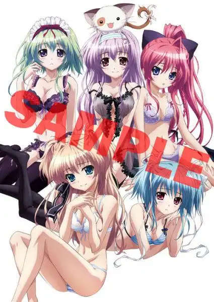 《纯白交响曲》bd最终卷特典全体女主角内衣合影_新浪动漫_新浪网