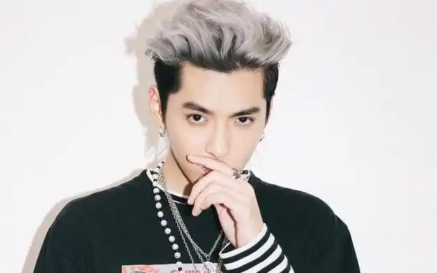 短短数年间,吴亦凡一跃成了国内很多年轻人追捧的偶像.