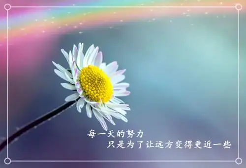 意境唯美小雏菊图片励志唯美的小雏菊