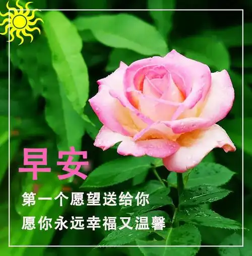 清早特别好看的早安图片 早上好问候语经典大全