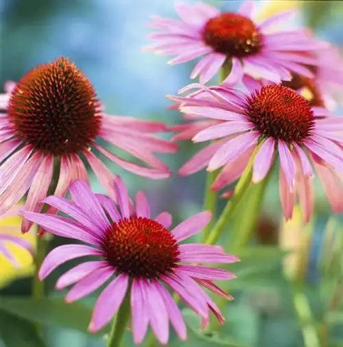 风景,人文,旅游