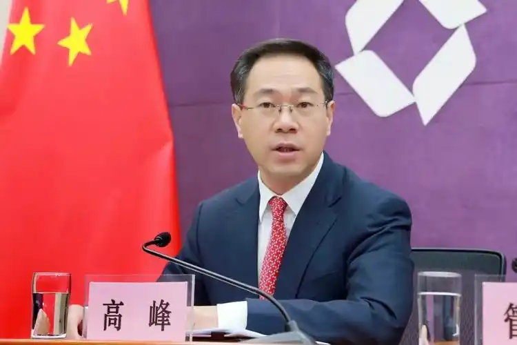 商务部办公厅副主任,新闻发言人高峰(图片来源:商务部)