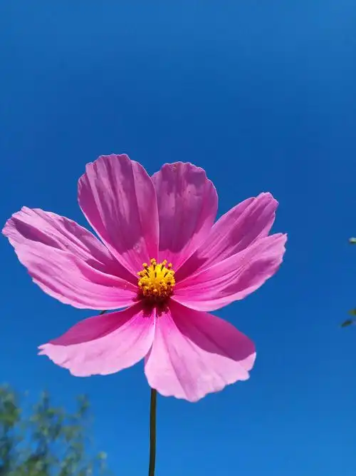 我眼中的蓝天白云