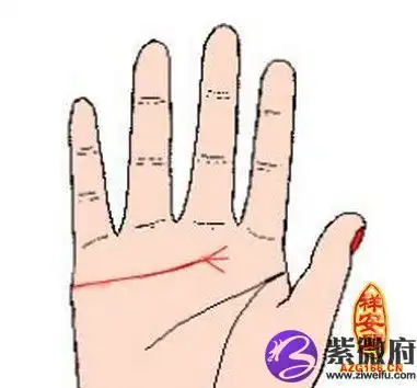 感情线开三叉代表什么意思