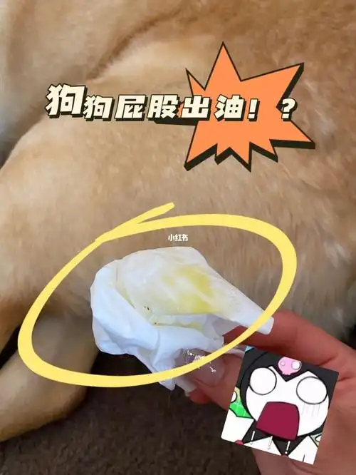 股柴油味儿被臭醒了后来检查一遍才发现味道居然是从豆豆身上发出来的