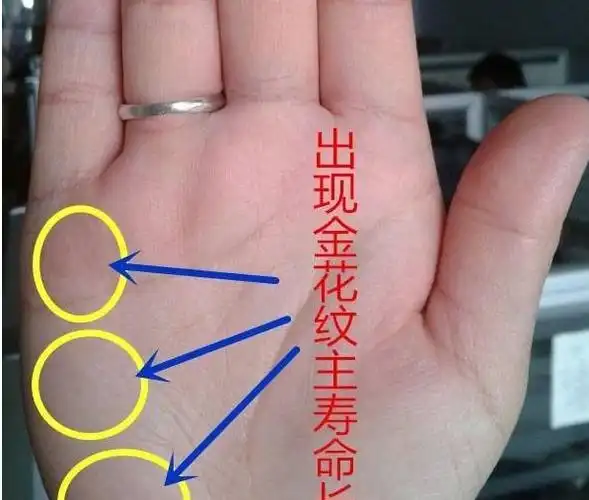 手相:手中出现"此"符号 , 注定男得贤妻,女嫁良夫,天生富贵命
