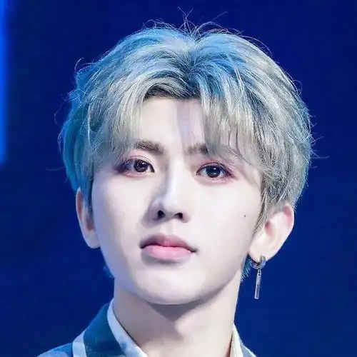 蔡徐坤同款中分假发奶奶灰假发男蔡徐坤同款中分刘海短卷发韩版帅气