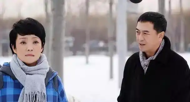 王海燕曾深夜发文多年婚姻一团散沙张嘉译坐实婚变事实