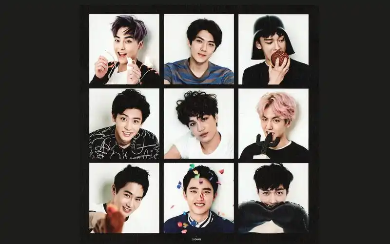 all兴兴all茶蛋的蕾伊酱