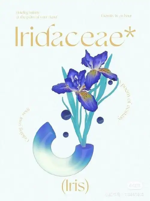 设计美学##海报设计