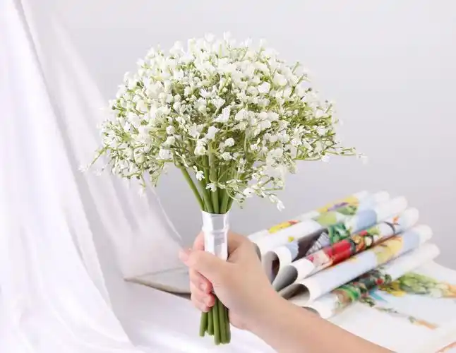 5产品毛重(kg):产品名品:手捧满天星产品尺寸(cm):总长:30   花头直径