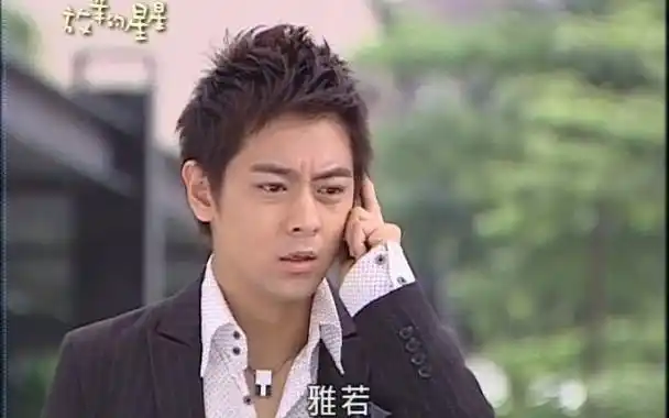 20.11《放羊的星星》林志颖