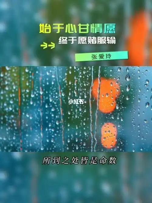 始于心甘情愿终于愿赌服输