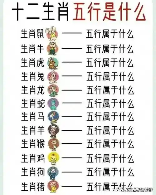 终于有人把十二生肖五行是什么整理出来了看看你的五行是什么呢