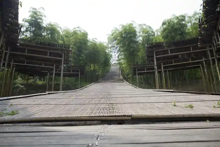 浙江人把竹海变成了4a景区成龙的卧虎藏龙拍摄地门票58元