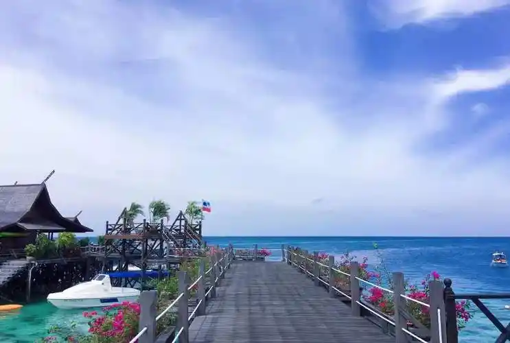 抖音最火的动态壁纸在哪里下载2020年抖音最火的动态壁纸多图