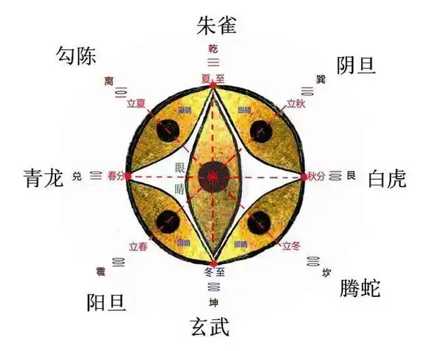 要了解这些药,我们必须有八神八卦的一些常识.