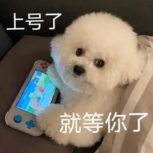 上号了就等你了 - 发表情 - fabiaoqing.com