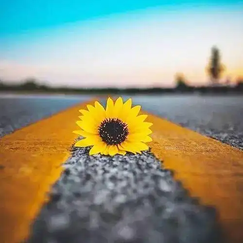 成熟男士微信头像稳重大气14