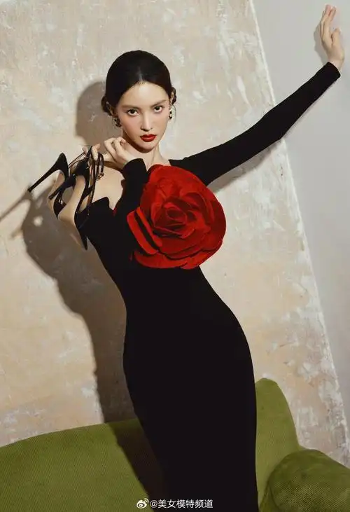 金晨黑色长裙胸前大红花朵