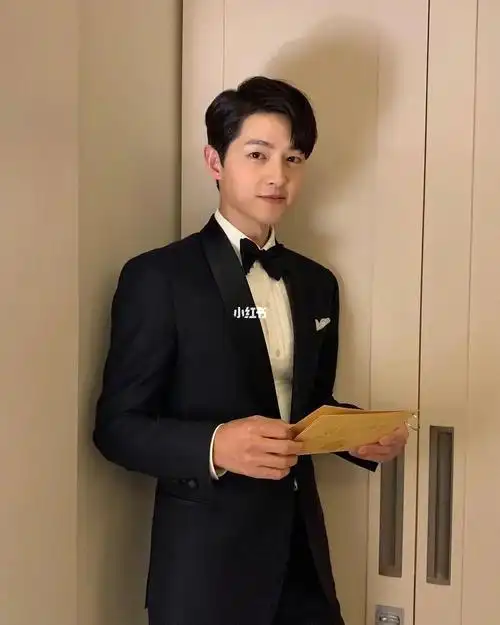 他的作品文森佐真的好帅而且这部剧也是爽剧推荐文森佐韩剧推荐宋仲基