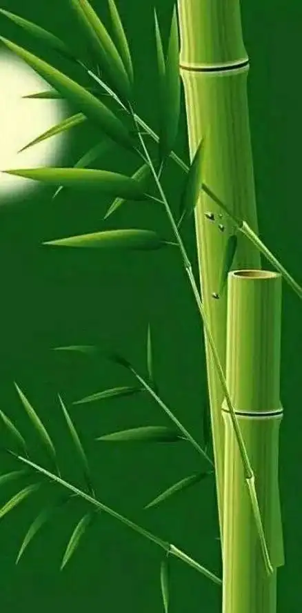 1,绿色屏保;3,青山绿水;4,清新美女.