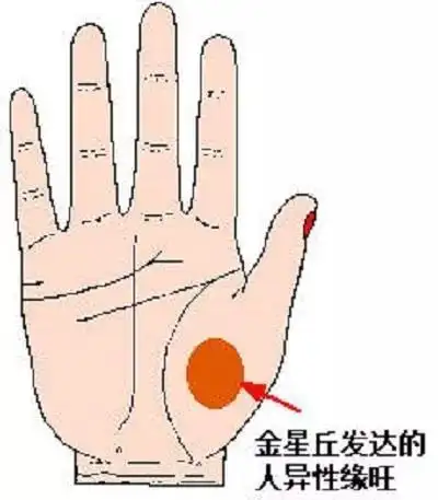 金星丘光滑饱满,色泽鲜明,对异性的吸引力不可阻挡.