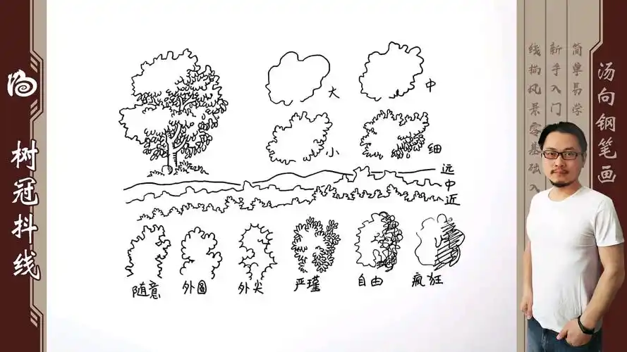 汤向钢笔画手绘教程--树冠抖线