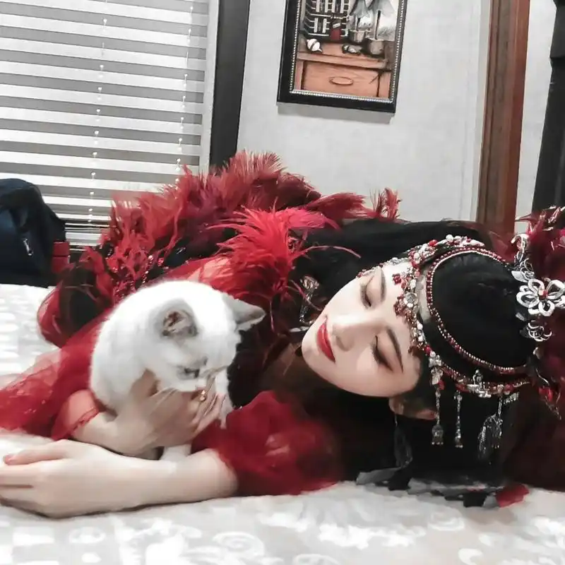 鞠婧祎撸猫女头.